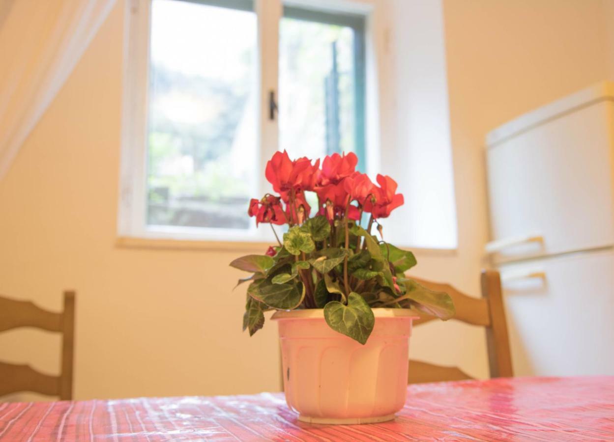 לאבין Apartman Juricic מראה חיצוני תמונה